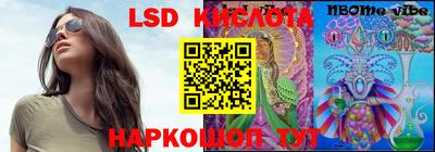 спайс Кингисепп