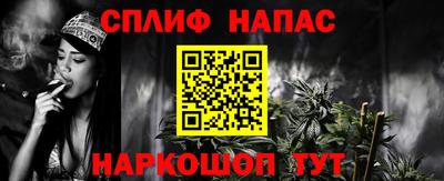 спайс Кингисепп