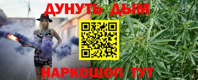 спайс Кингисепп