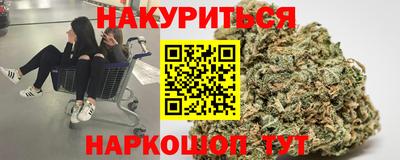 спайс Кингисепп