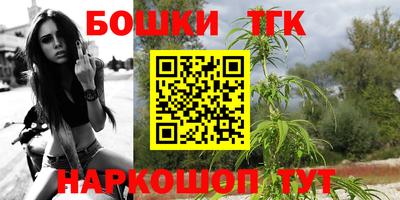 спайс Кингисепп