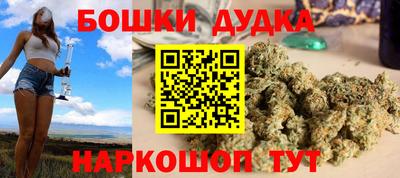 спайс Кингисепп