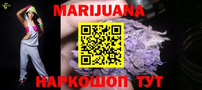 спайс Кингисепп