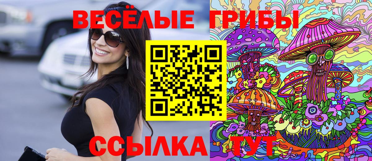 Псилоцибиновые грибы Psilocybe  Вход с VPN  Псилоцибиновые грибы Magic Shrooms  Коряжма 