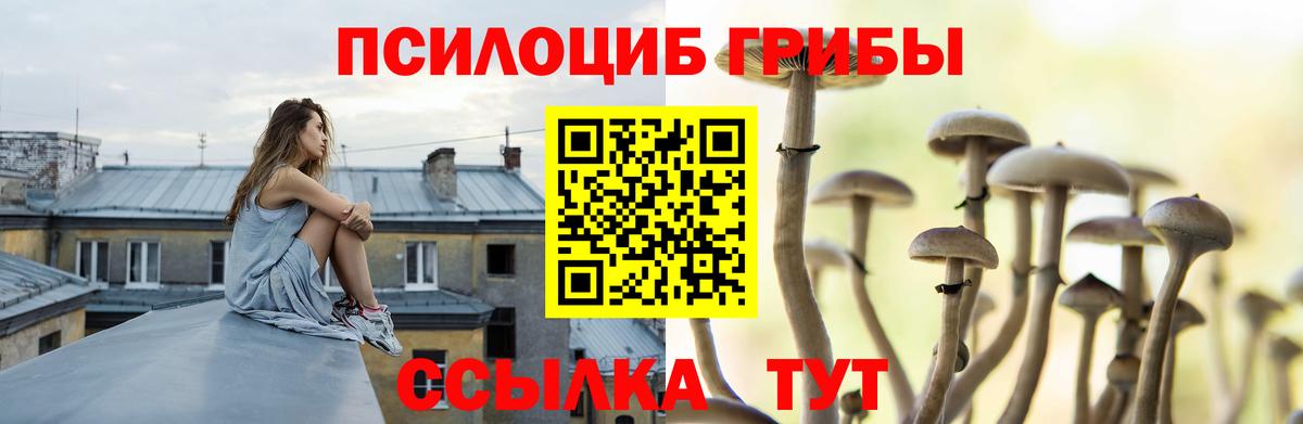 Псилоцибиновые грибы ЛСД Коряжма